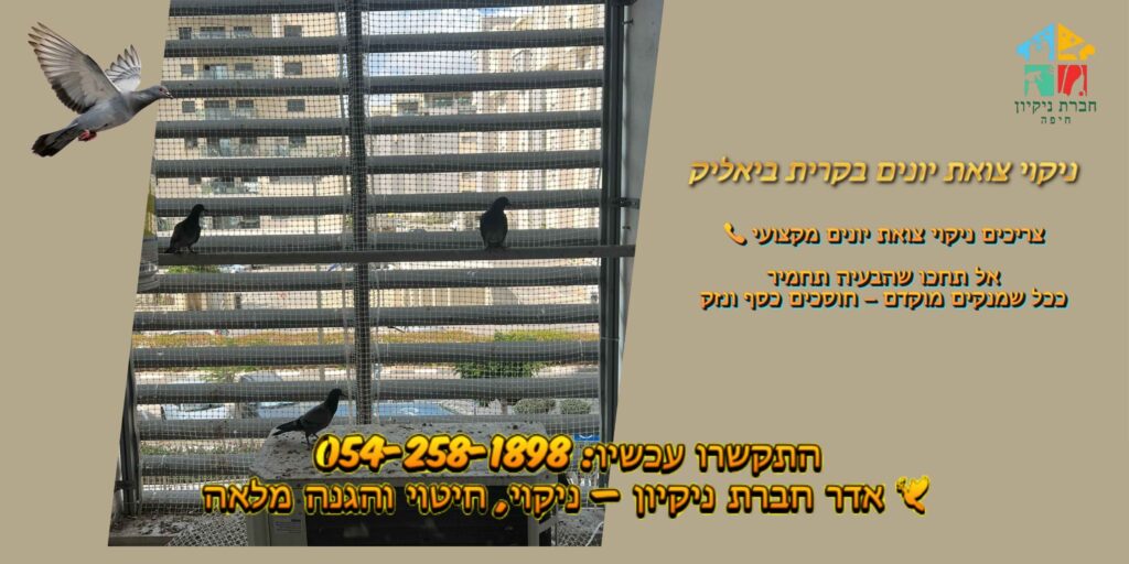 ניקוי צואת יונים בקרית ביאליק